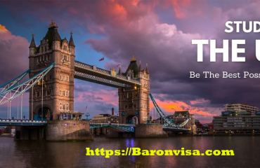 Baron Visa Solutions