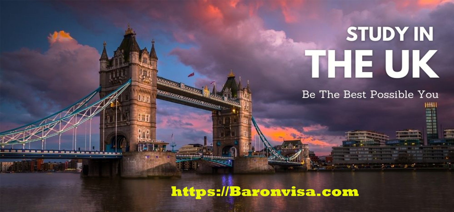 Baron Visa Solutions